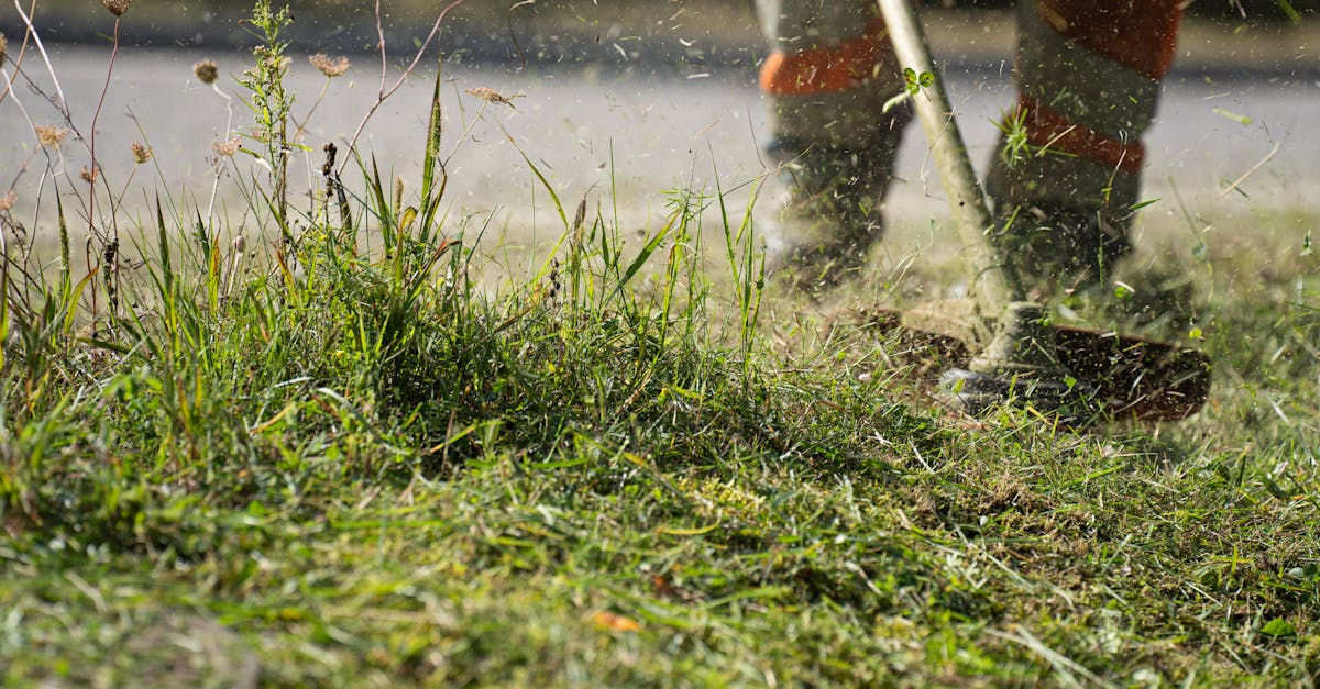 Turf Management