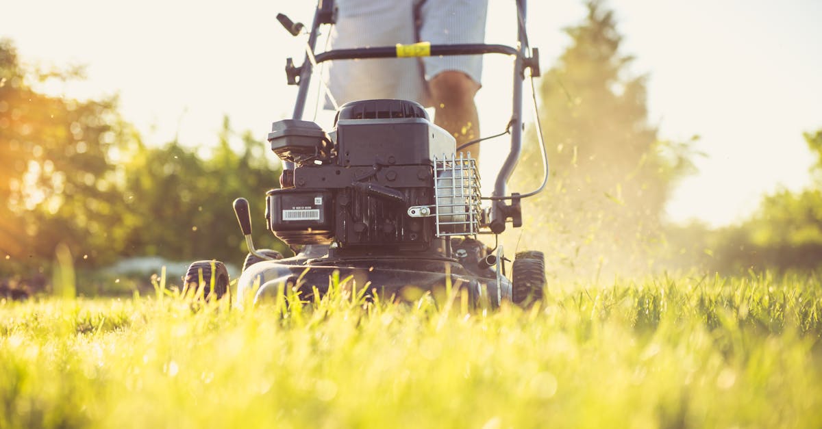 Grass Management