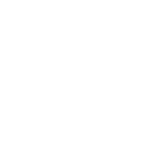Direct Mail Icon