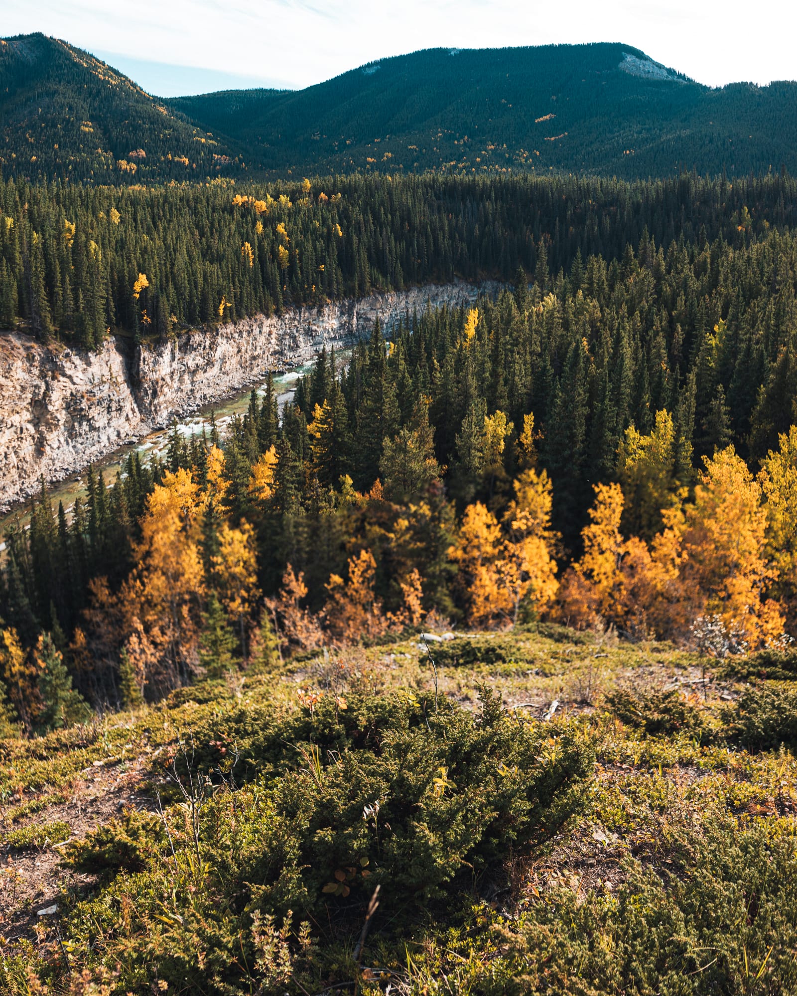 Echoes of Autumn — photo 2