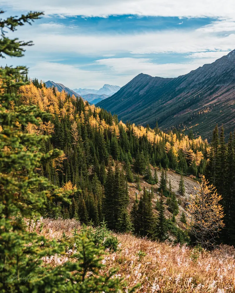Mountain Tops