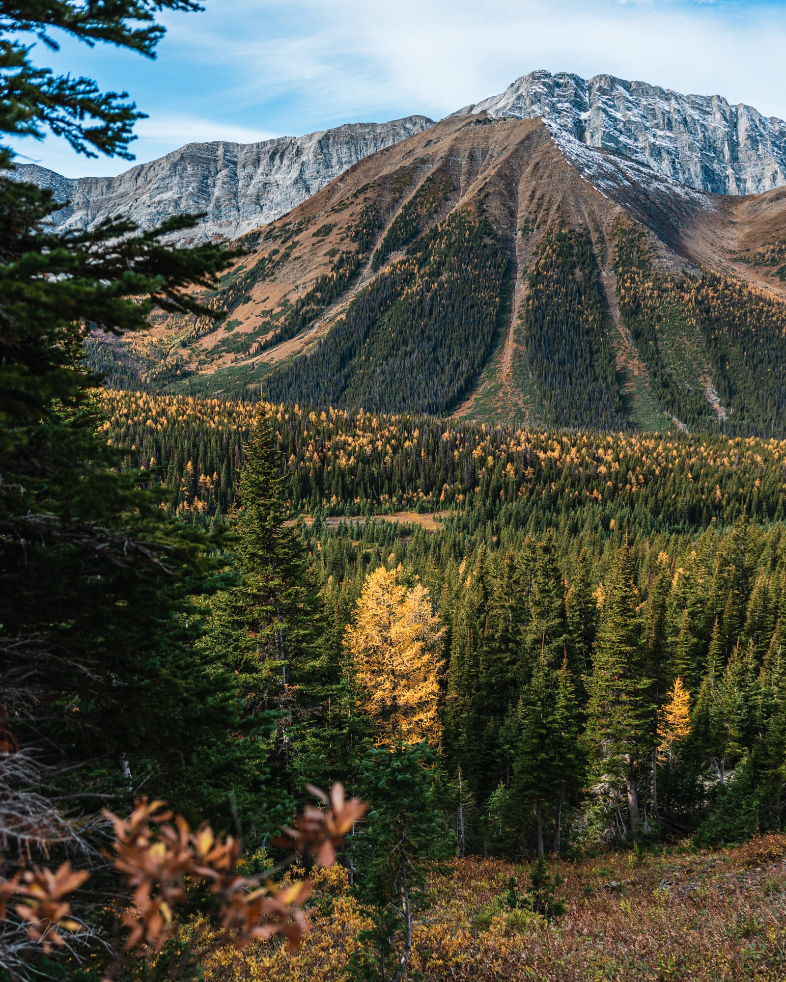 Mountain Tops — photo 6