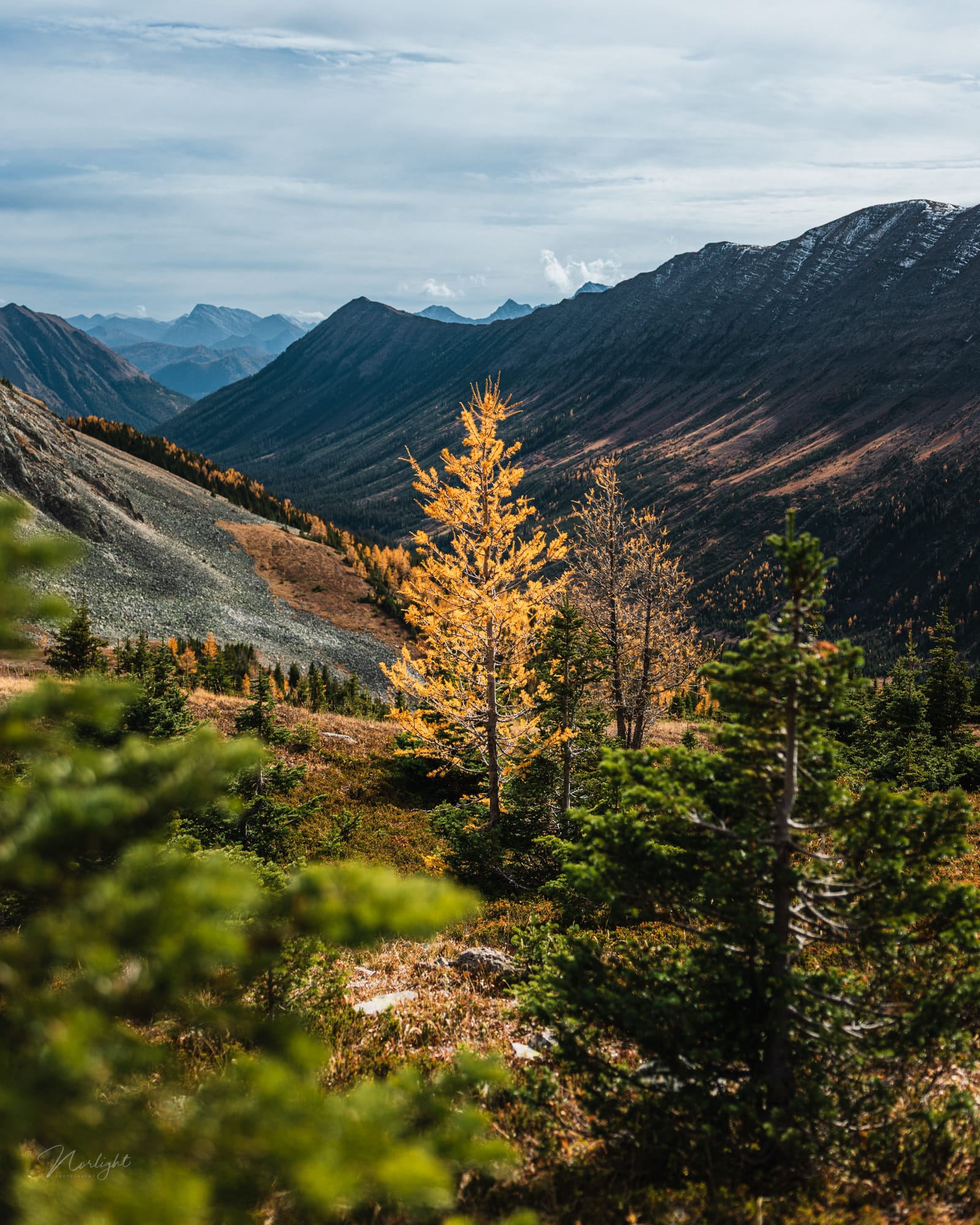 Mountain Tops — photo 3