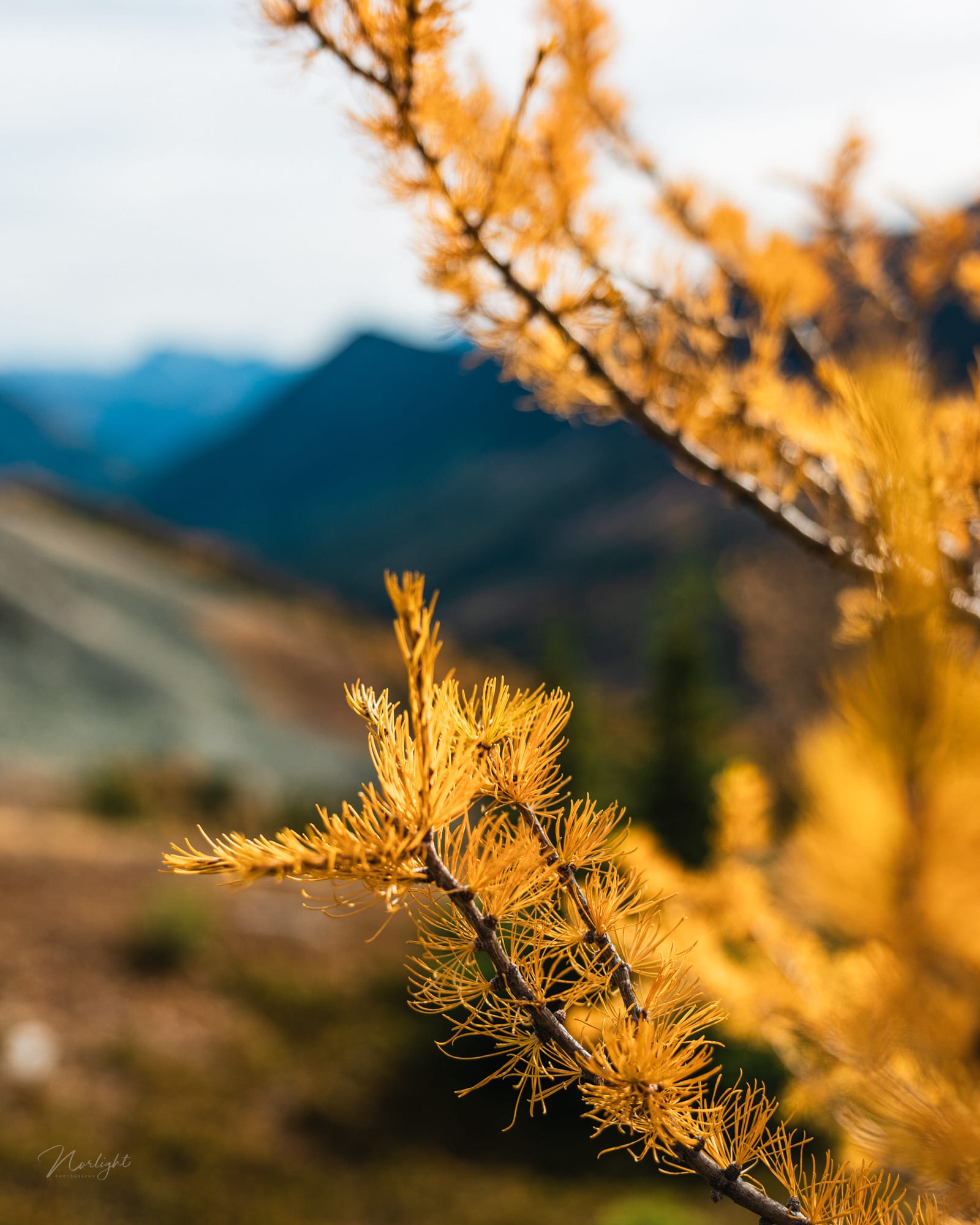 Mountain Tops — photo 8