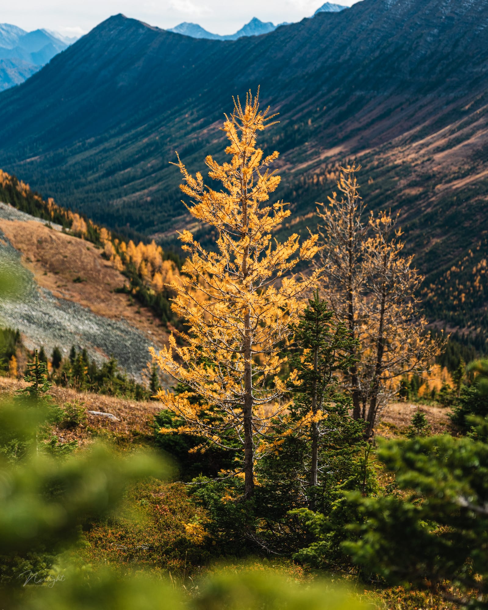Mountain Tops — photo 11