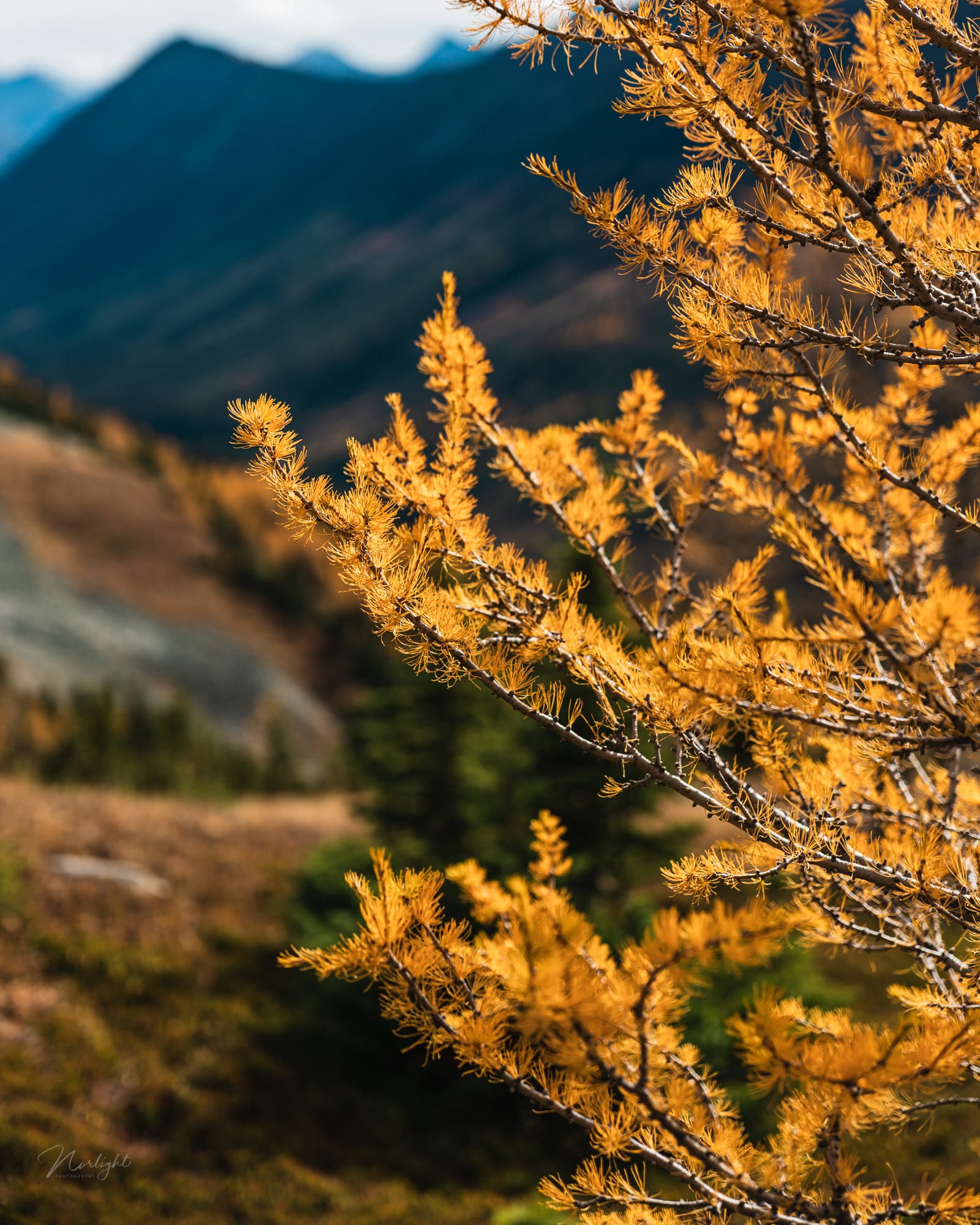 Mountain Tops — photo 10
