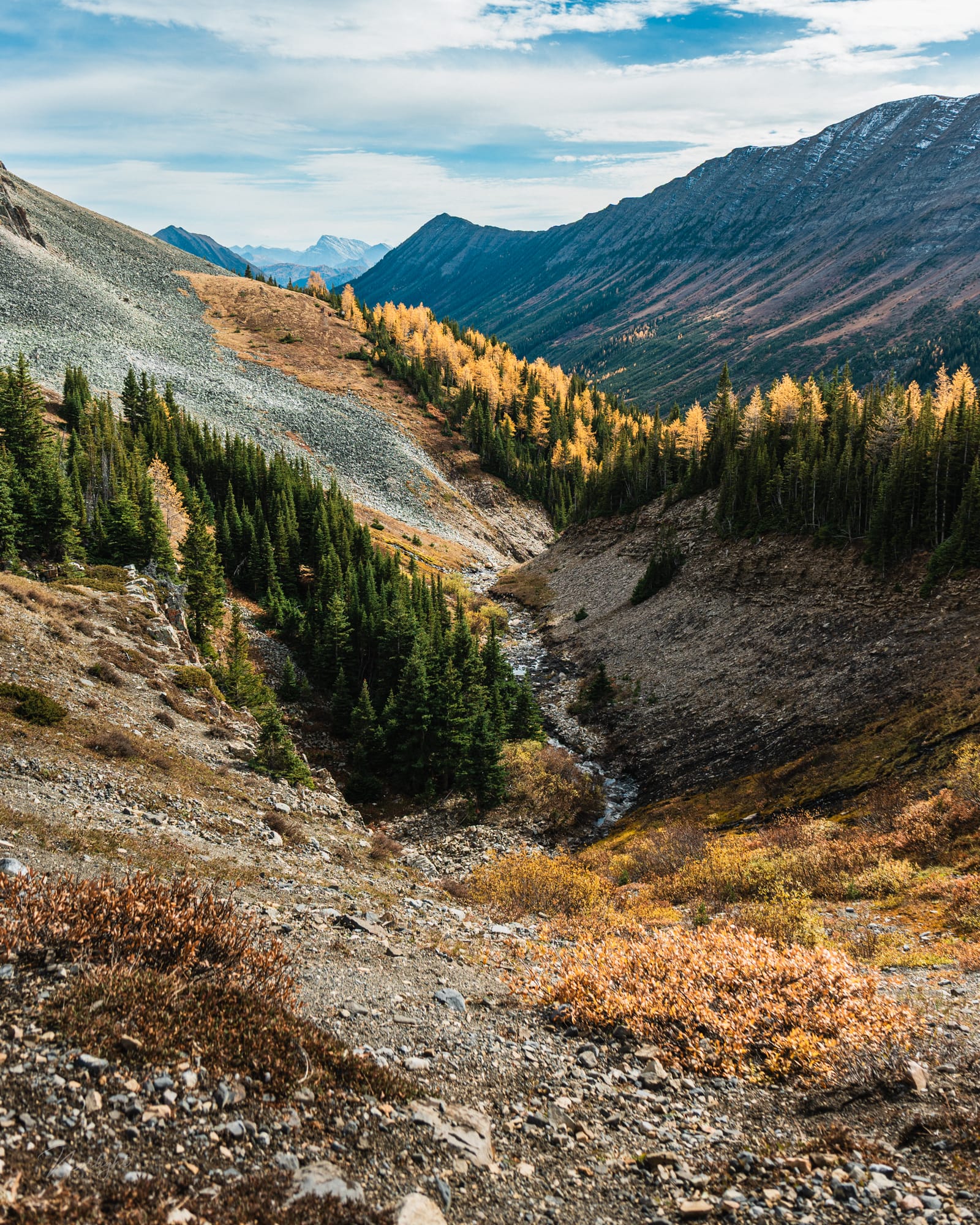 Mountain Tops — photo 12