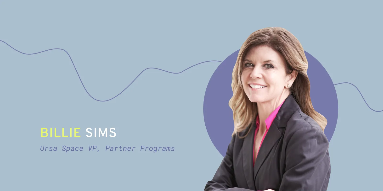 Billie Sims - VP of Partner Programs